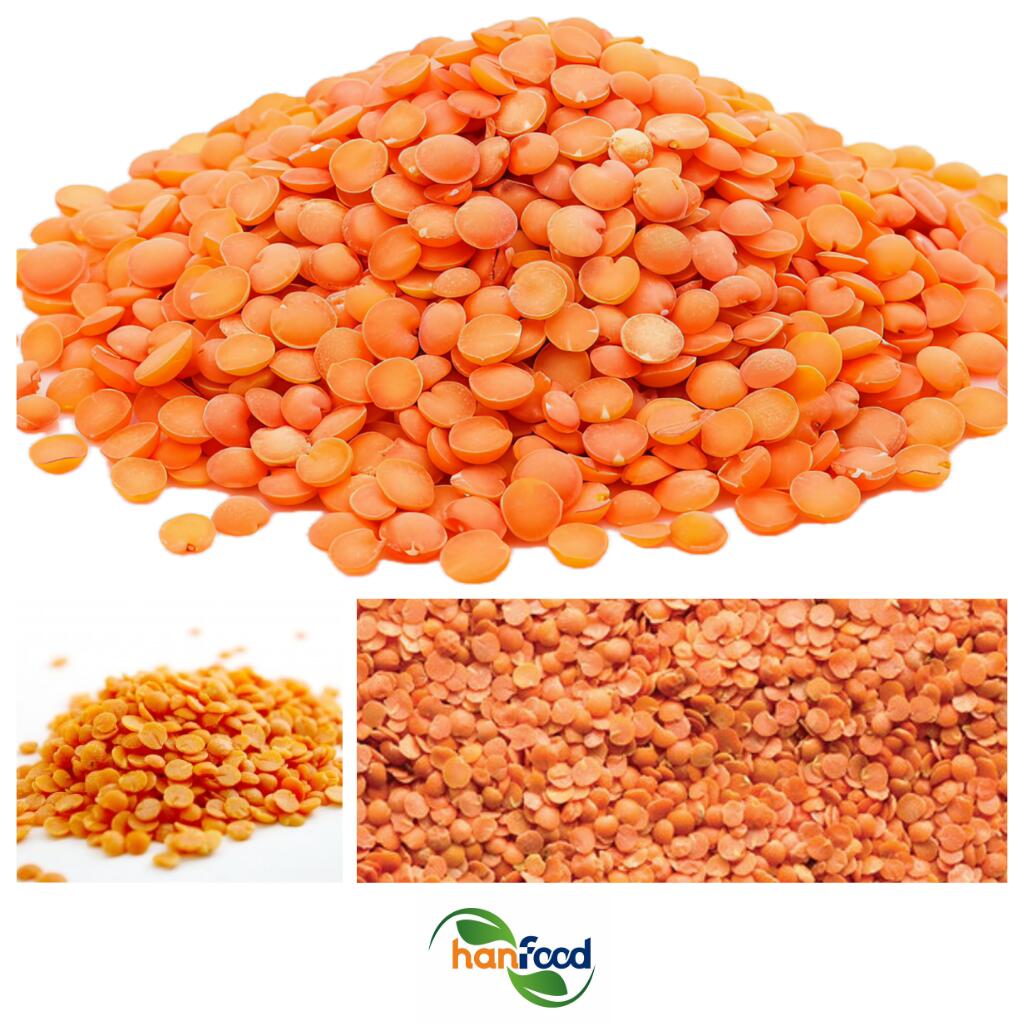 Split Red Lentils