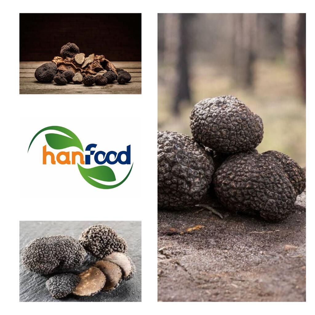 Truffle Mushroom
