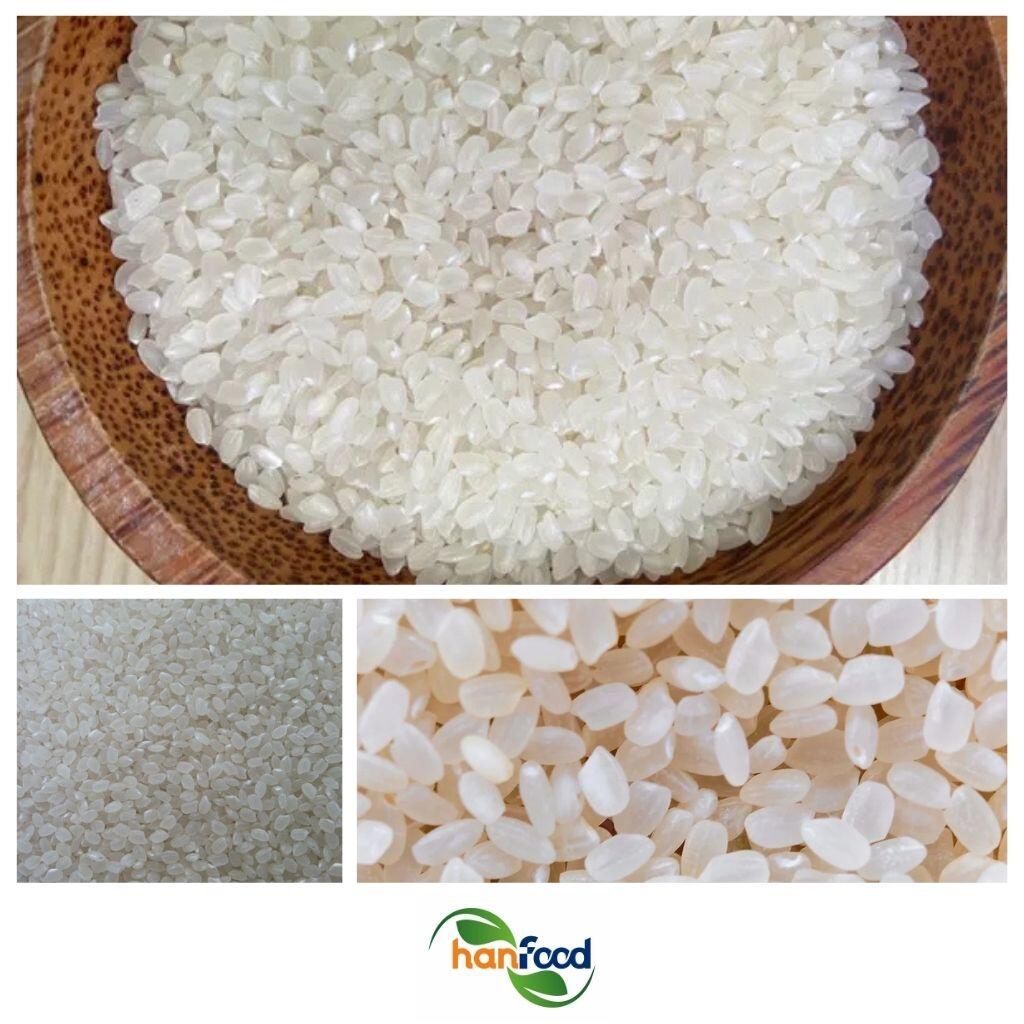Japonica Round Rice / Sushi Rice