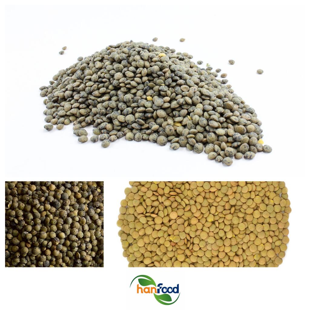 Green Lentils
